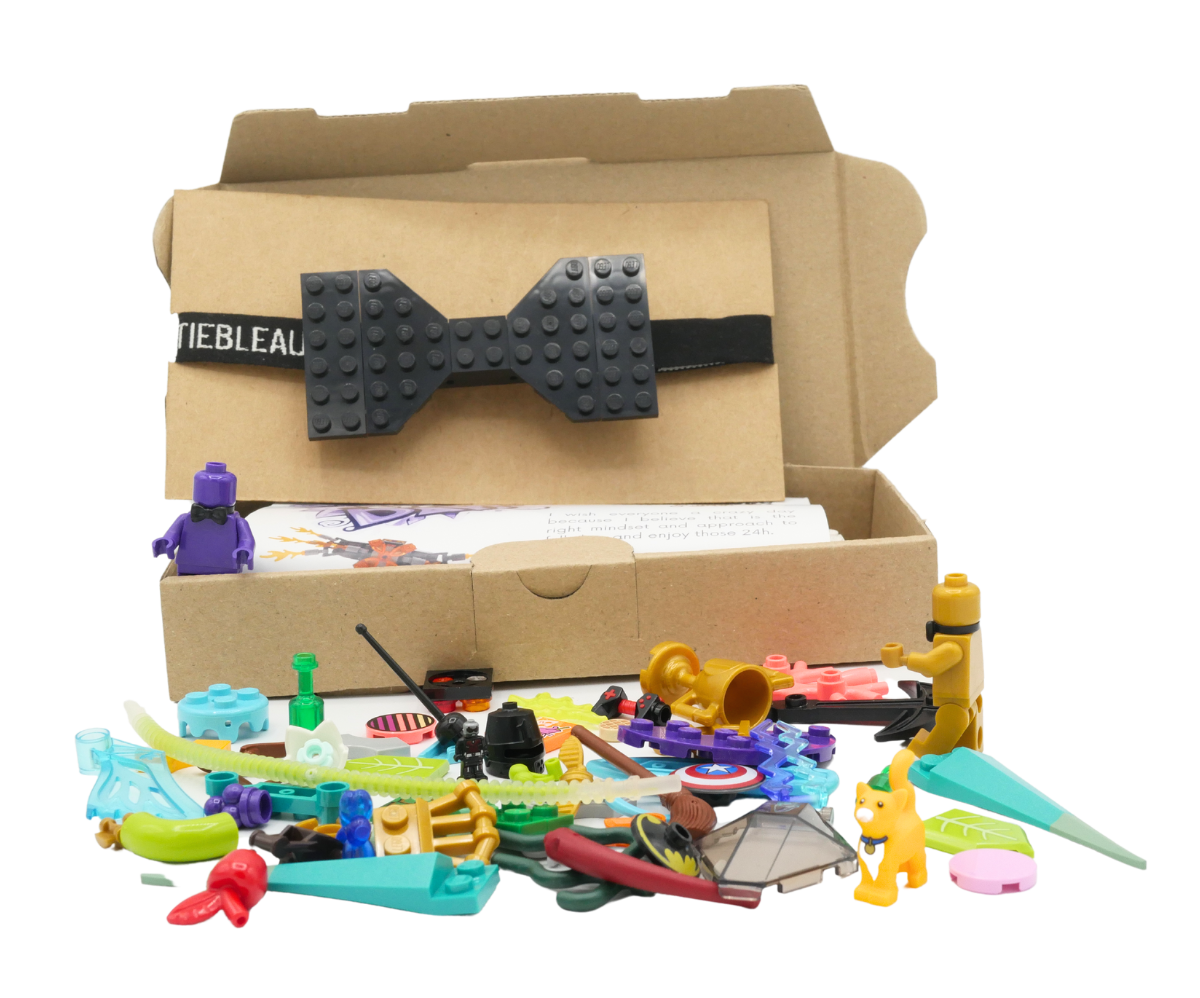 Child Black Bow Tie - Bow Tie Bleau - Bow Ties & Straps For The Brick Aficionado